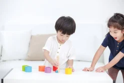 Abejas en la Colmena