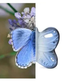 Blues the Butterfly