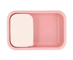 Caja Almuerzo Bento Bugs