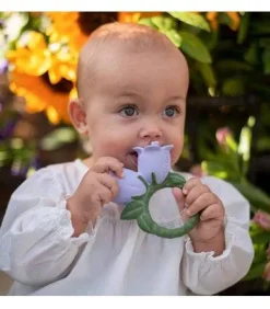 Cindy the Bellflower