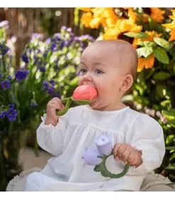 Cindy the Bellflower