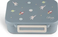 Citron Caja Almuerzo de tritán Aeronave