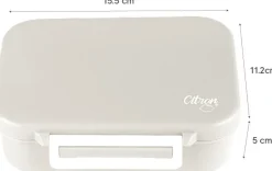 Citron Caja Almuerzo de tritán Aeronave
