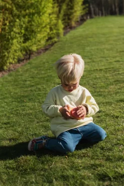 Cámara Fotográfica Urban Zoo Fox · The Zoofamily