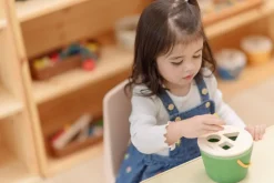 Cubo clasifica figuras · Plantoys