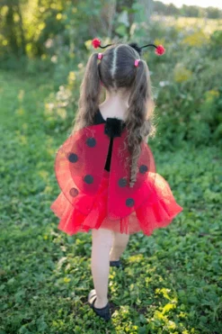 Disfraz Mariquita Glitter · Great Pretenders 4-6 años