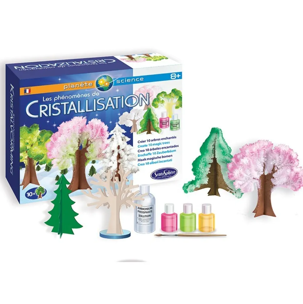 El fenómeno de la cristalización