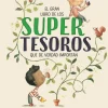 El gran libro de los supertesoros