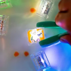 GloPals Set regalo Zoo 6 cubos de luz Zoo