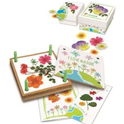 GreenCreativity Taller de Flores Prensadas · 4M