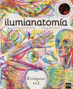 Ilumianatomía