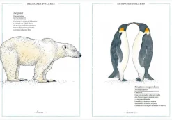 Inventario Ilustrado de Animales