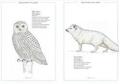 Inventario Ilustrado de Animales