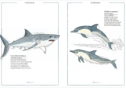 Inventario Ilustrado de Animales