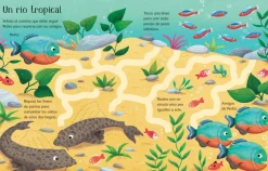 Libro Pizarra · De visita en el acuario