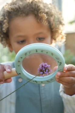 Lupa Forest Friends FSC · Little Dutch