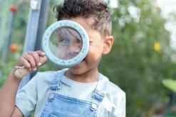 Lupa Forest Friends FSC · Little Dutch