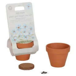 Maceta planta No me Olvides · Little Dutch