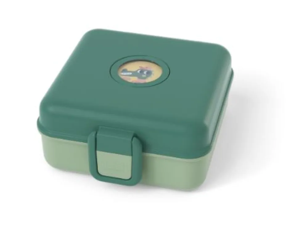 MB Snaky Green Forest