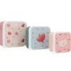 Pack 3 Cajas Almuerzo Little Garden