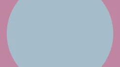 Patines Twista Lila · Yvolution