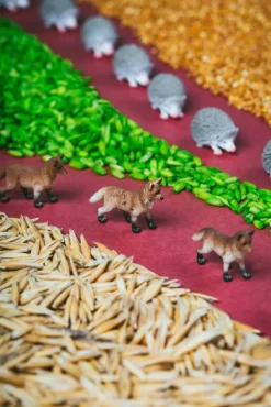 Petit Boum · Spy Bottle Forest