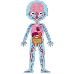 Puzzle · Cuerpo Humano - Janod