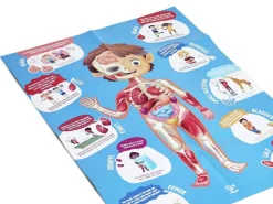 Puzzle Cuerpo Humano · Hape