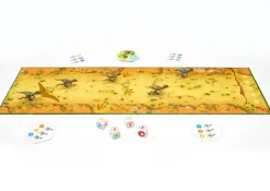 Raptor Race · FlexiQ