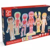 Rompecabezas magnético del cuerpo humano · Hape