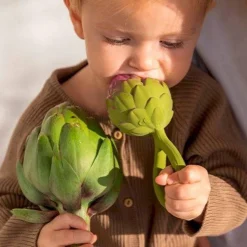 Sonajero · Artichoke Rattle Toy