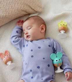 Sonajero mordedor ventosa · Hape