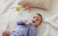 Sonajero mordedor ventosa · Hape