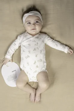 Tarjetas Milestone Baby Bunny · Little Dutch