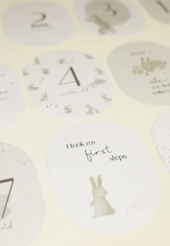 Tarjetas Milestone Baby Bunny · Little Dutch
