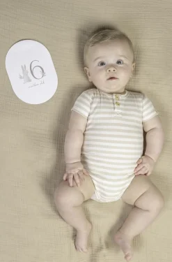 Tarjetas Milestone Baby Bunny · Little Dutch