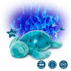 Tranquil Turtle · Cloud B