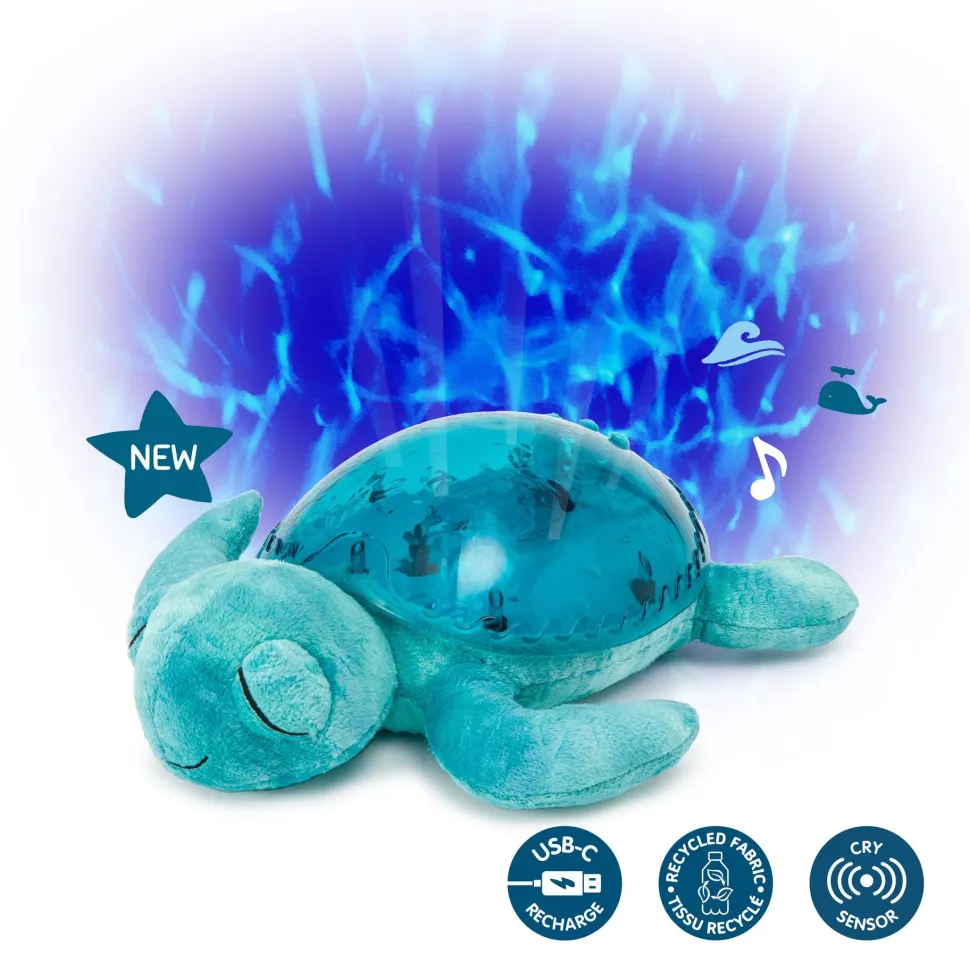 Tranquil Turtle · Cloud B