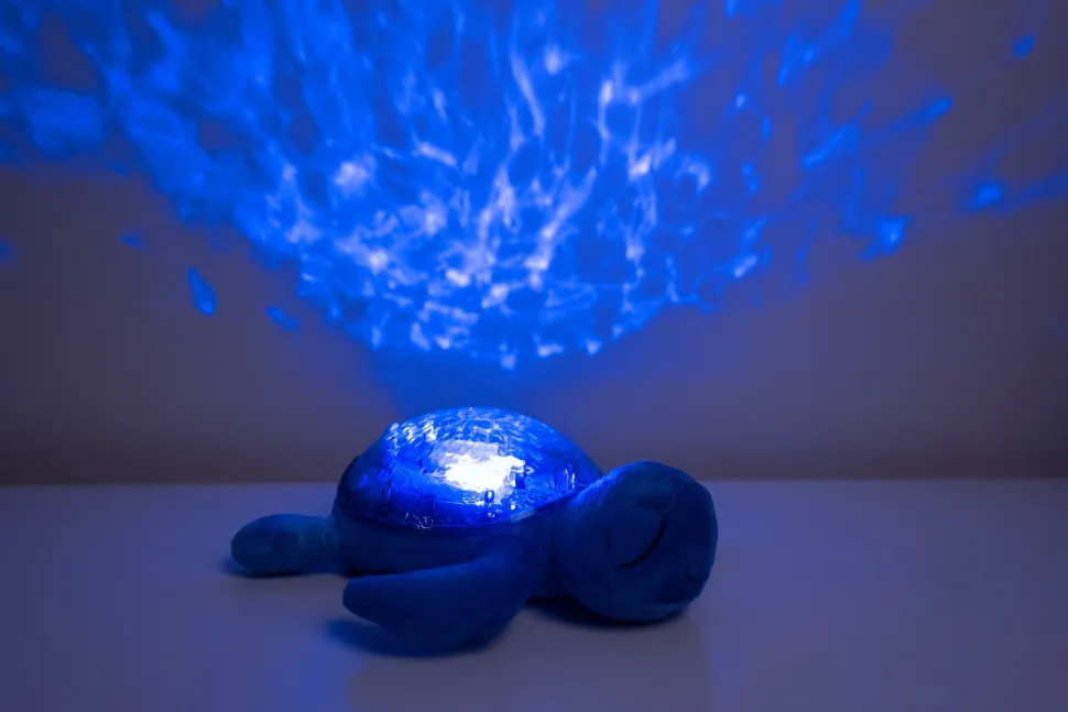 Tranquil Turtle · Cloud B