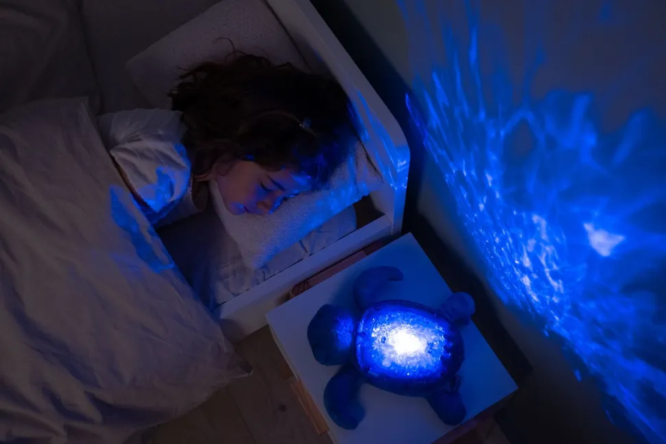 Tranquil Turtle · Cloud B