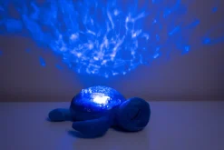 Tranquil Turtle · Cloud B