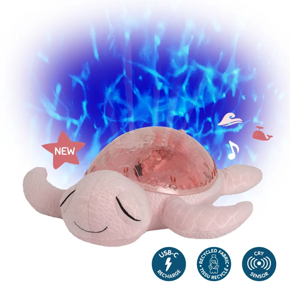 Tranquil Turtle · Cloud B