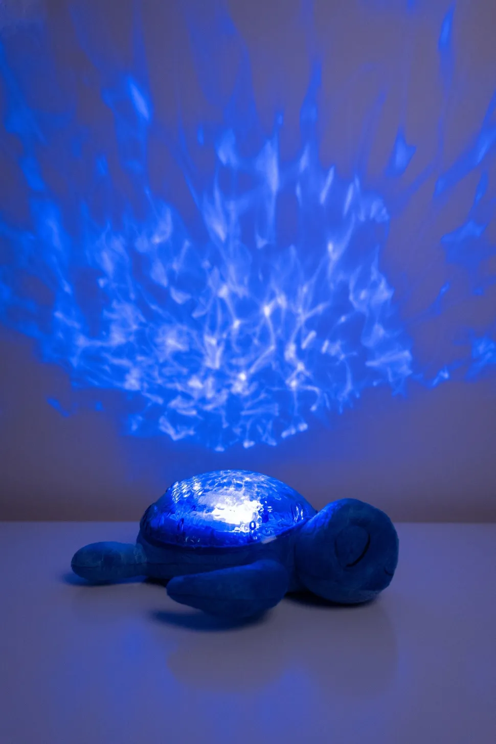 Tranquil Turtle · Cloud B