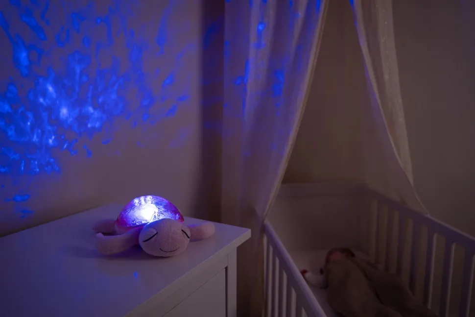 Tranquil Turtle · Cloud B