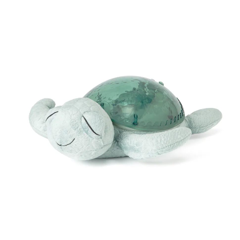 Tranquil Turtle · Cloud B