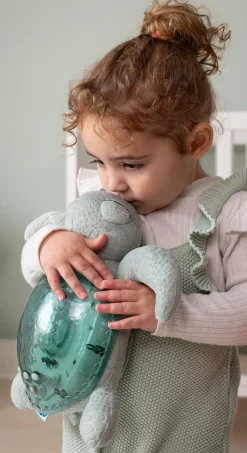 Tranquil Turtle · Cloud B