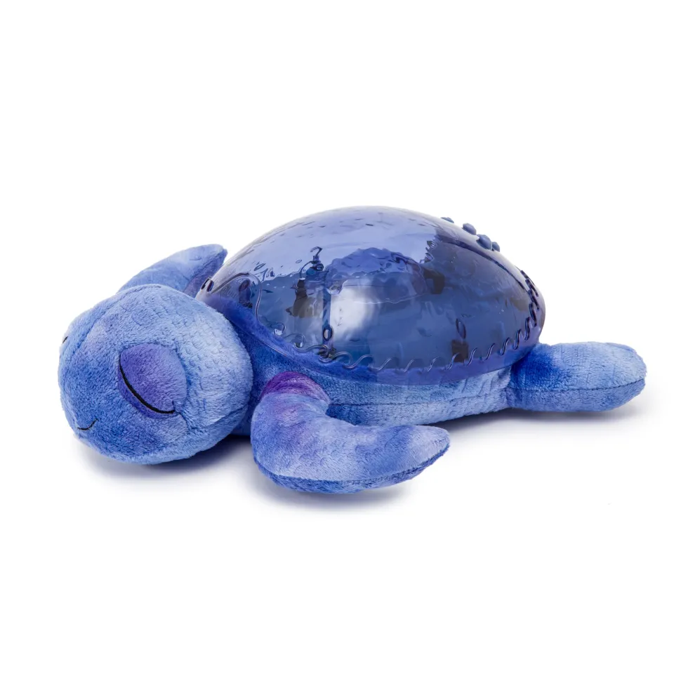 Tranquil Turtle · Cloud B