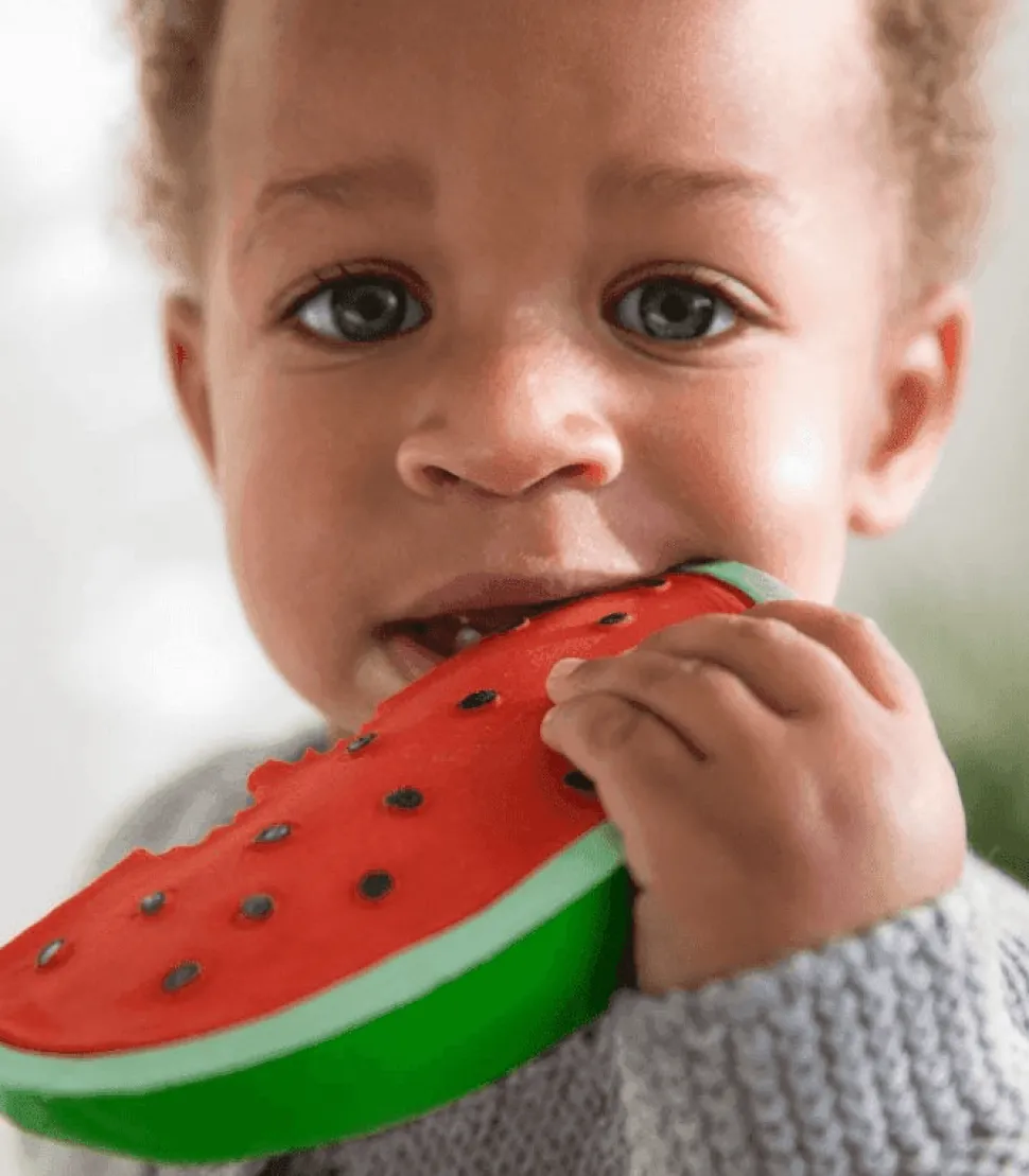 Wally the Watermelon