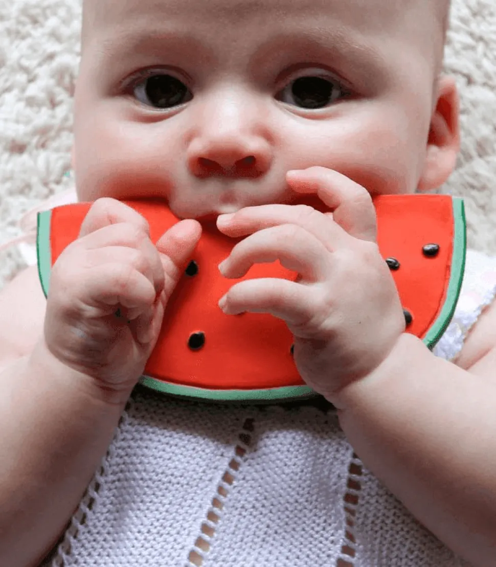 Wally the Watermelon