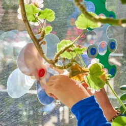 Window Pack · Clixo